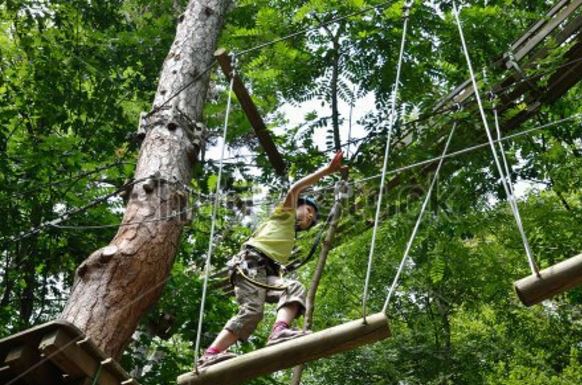 standardropescourse